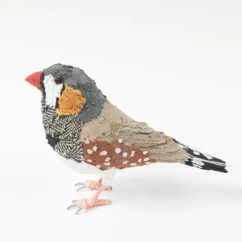 zebra_finch4_sml.jpg