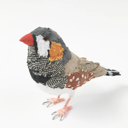 zebra_finch5_sml.jpg