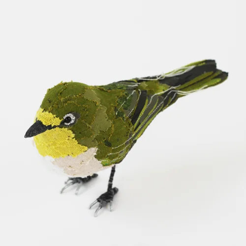 Japanese_white_eye_sml.jpg
