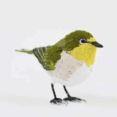 Japanese_white_eye3_sml.jpg