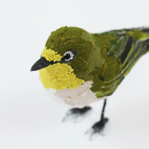Japanese_white_eye7_sml.jpg