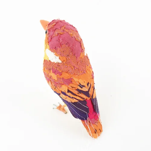 Rufous_backed_kingfisher5_sml.jpg