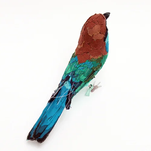 Blue_throated_beeeater_sml.jpg