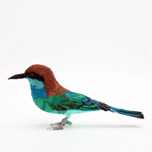 Blue_throated_beeeater2_sml.jpg