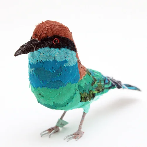 Blue_throated_beeeater3_sml.jpg