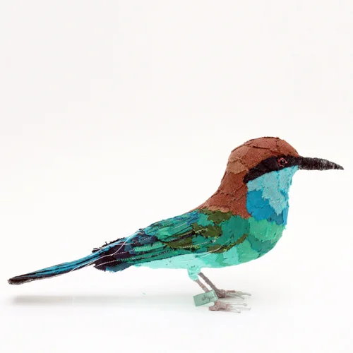 Blue_throated_beeeater6_sml.jpg