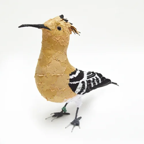 Hoopoe2_sml.jpg