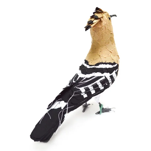 Hoopoe3_sml.jpg