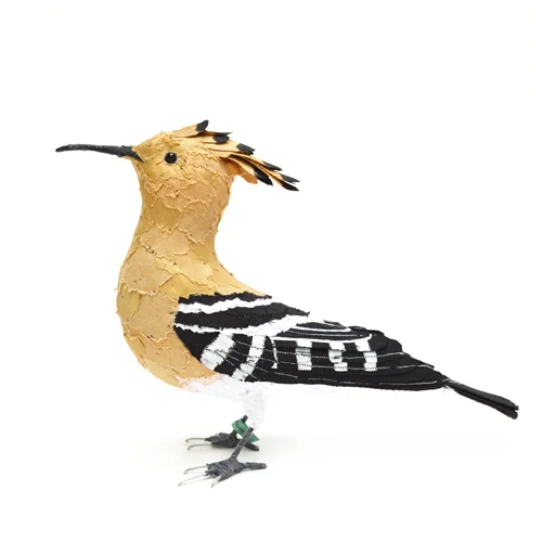 Hoopoe5_sml.jpg