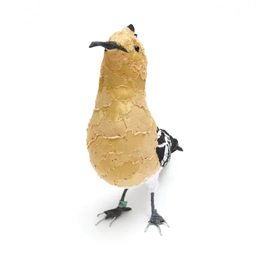 Hoopoe6_sml.jpg