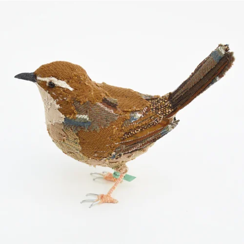 WREN5_sml.jpg