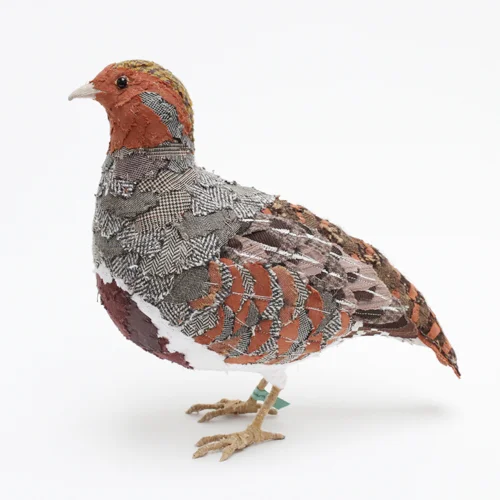 GreyPartridge5_sml.jpg