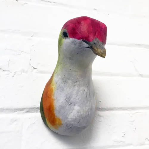 SplendidFruitDove4_sml.jpg