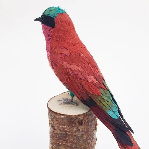 CarmineBeeEater_sml.jpg