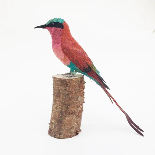 CarmineBeeEater6_sml.jpg