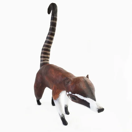 Coati3_sml.jpg