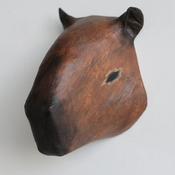 Capybara_sml.jpg