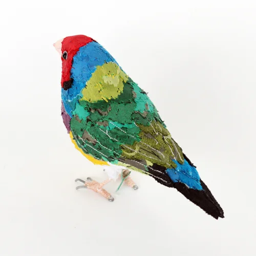 GouldianFinch3_sml.jpg