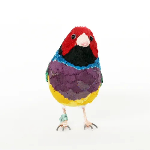 GouldianFinch4_sml.jpg