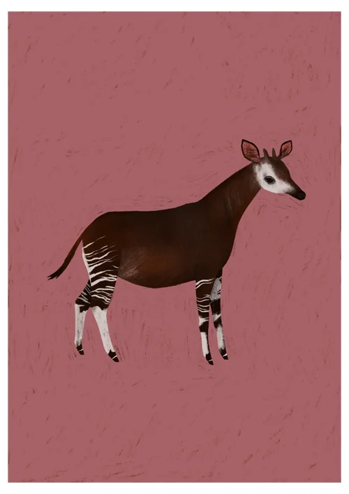 A4_Okapi_sml.jpg