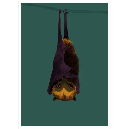 A4_MauritiusFruitBat_sq_sml.jpg