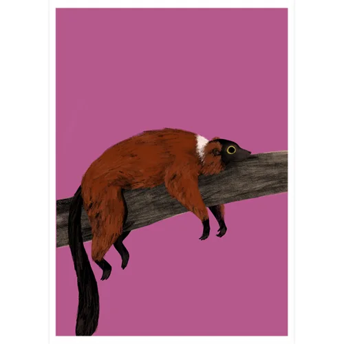 A4_RedRuffedLemur_sq_sml.jpg