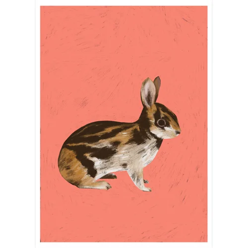 A4_AnnamiteStripedrabbit_sq_sml.jpg