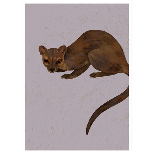 A4_Fossa_sq_sml.jpg