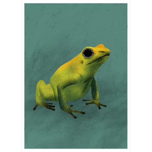 A4_GoldenPoisonFrog_sq_sml.jpg
