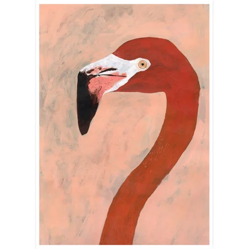 A3Flamingo_sq_sml.jpg