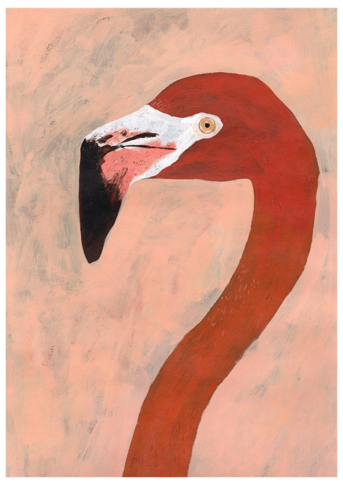 A3Flamingo_sml.jpg