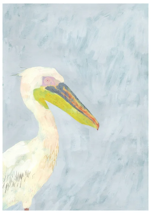 A3Pelican_sml.jpg