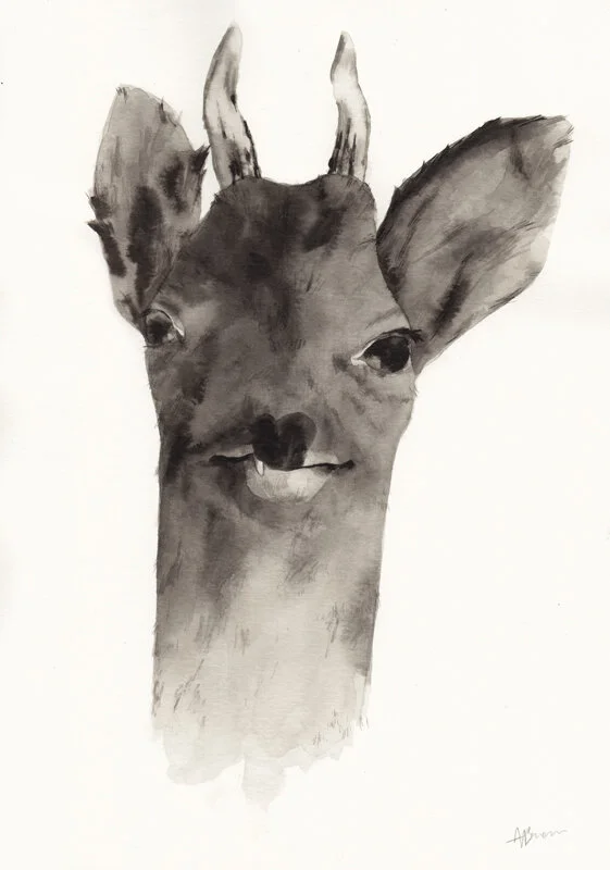 DEER - Original Ink Painting