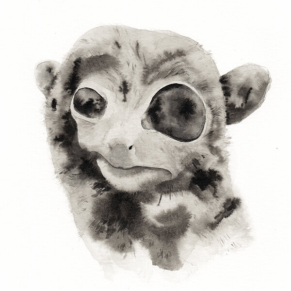 TARSIER - Original Ink Painting