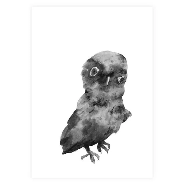 OwlPhoto3_sml.jpg