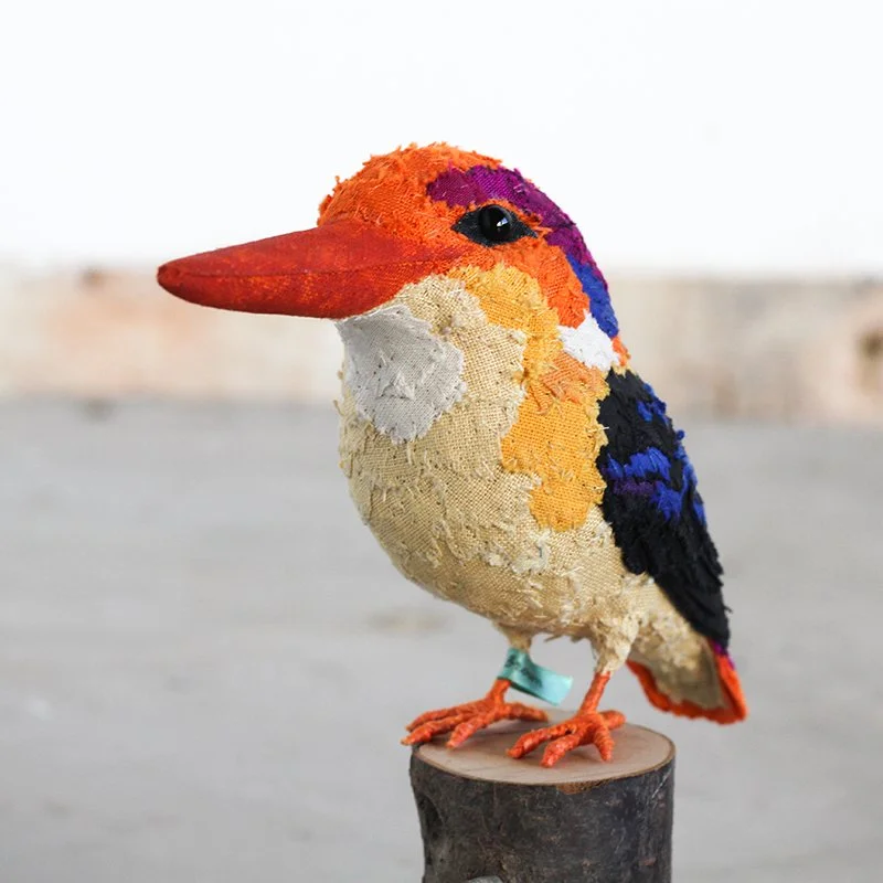 OrientalDwarfKingfisher3_sml.jpg