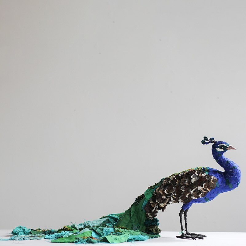 F A B R I C  B I R D 
S C U L P T U R E // An Indian Peacock commission for a special birthday&hellip; finished and on its way

#birds #birdlife #birdsofinstagram #birdart #birdsculpture #birdlovers #fabricbirds #fabricbirdsculpture #textilesculpture