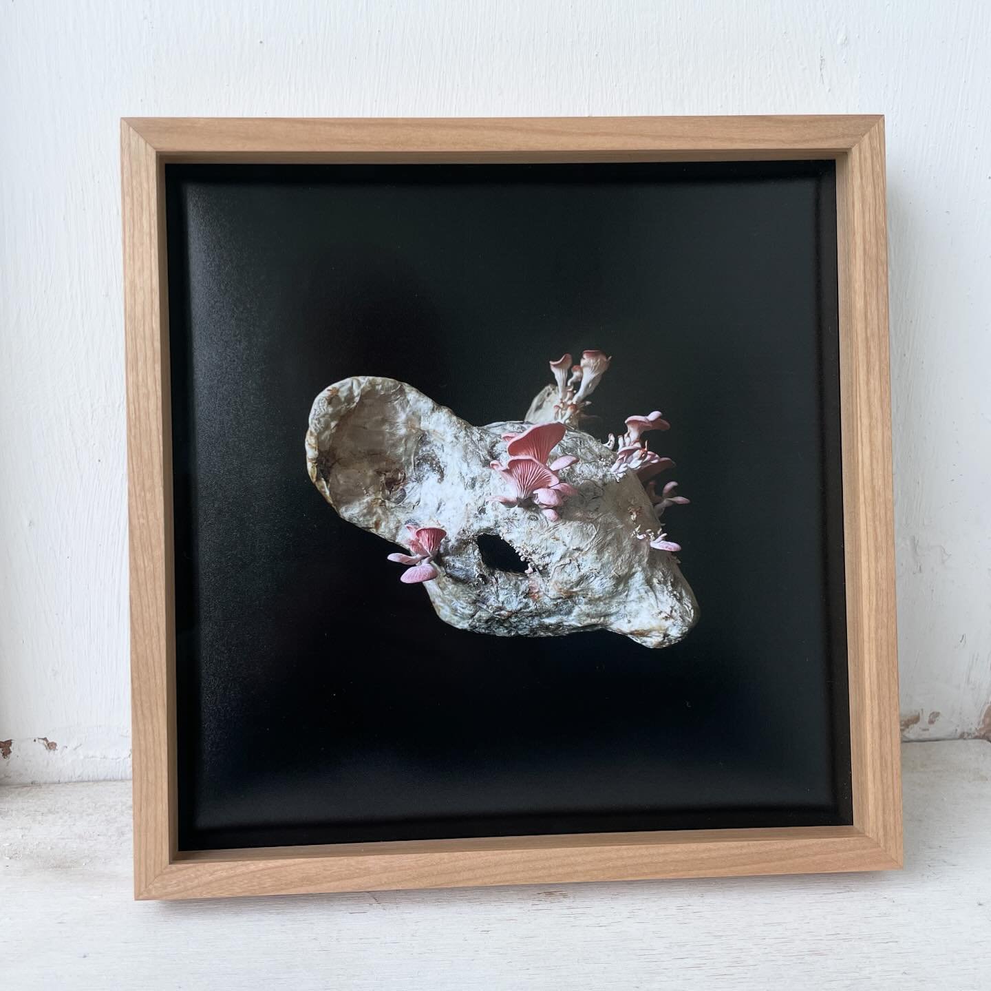 R O Y A L 
A C A D E M Y // Dropped this piece off for the final round of judging for the @royalacademyarts Summer Exhibition - fingers crossed it makes the cut!

Beautiful framing in a pinky-hued cherry wood by @cornerstoreframes.

#summerexhibition