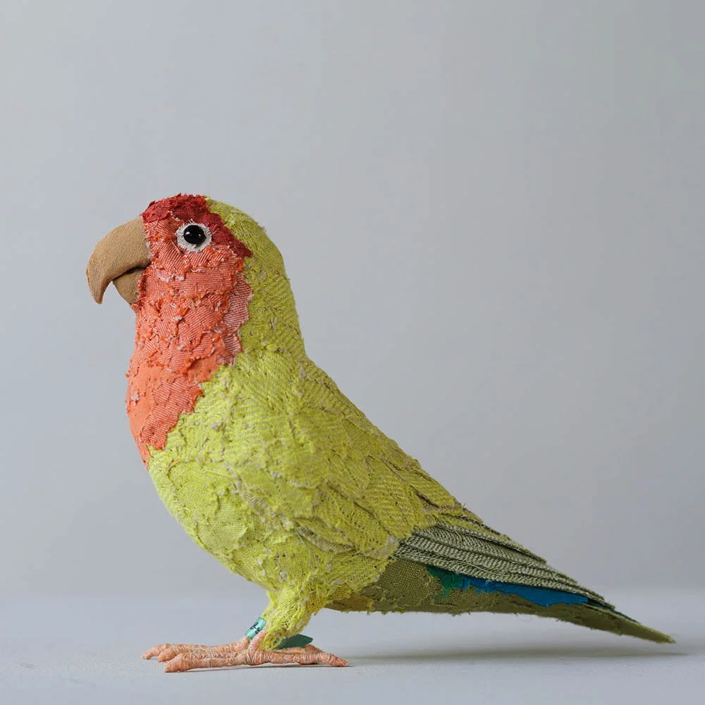Yellow Peach-Faced Lovebird23_sml.jpg