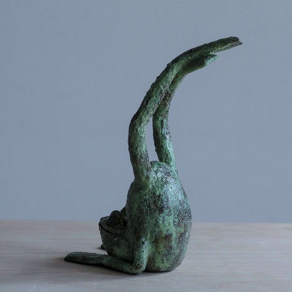 Frog17_sml.jpg