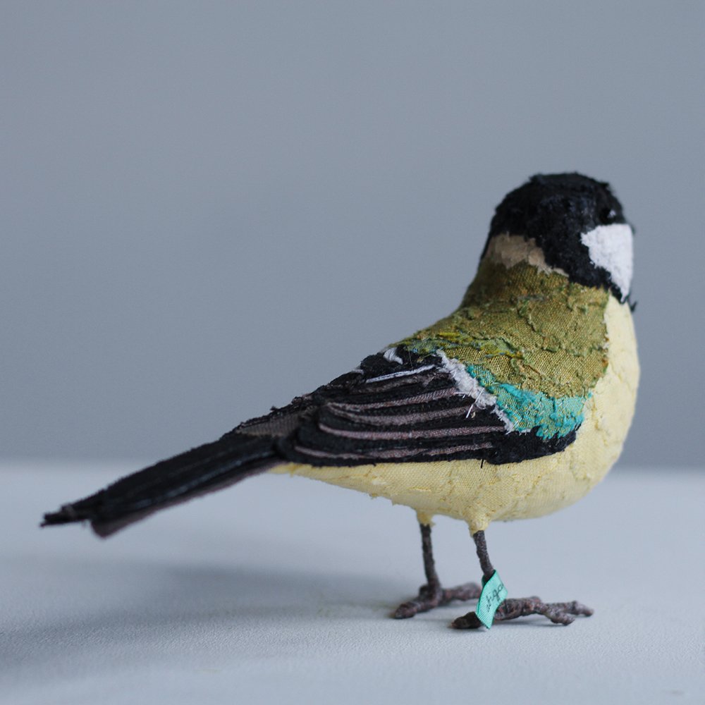 GreatTit9_sml.jpg