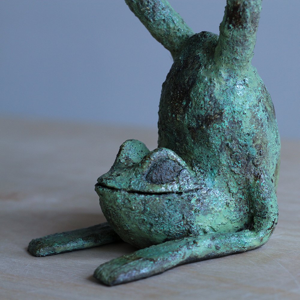 Frog27_sml.jpg