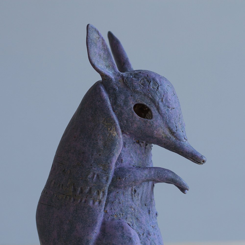 Armadillo33_sml.jpg