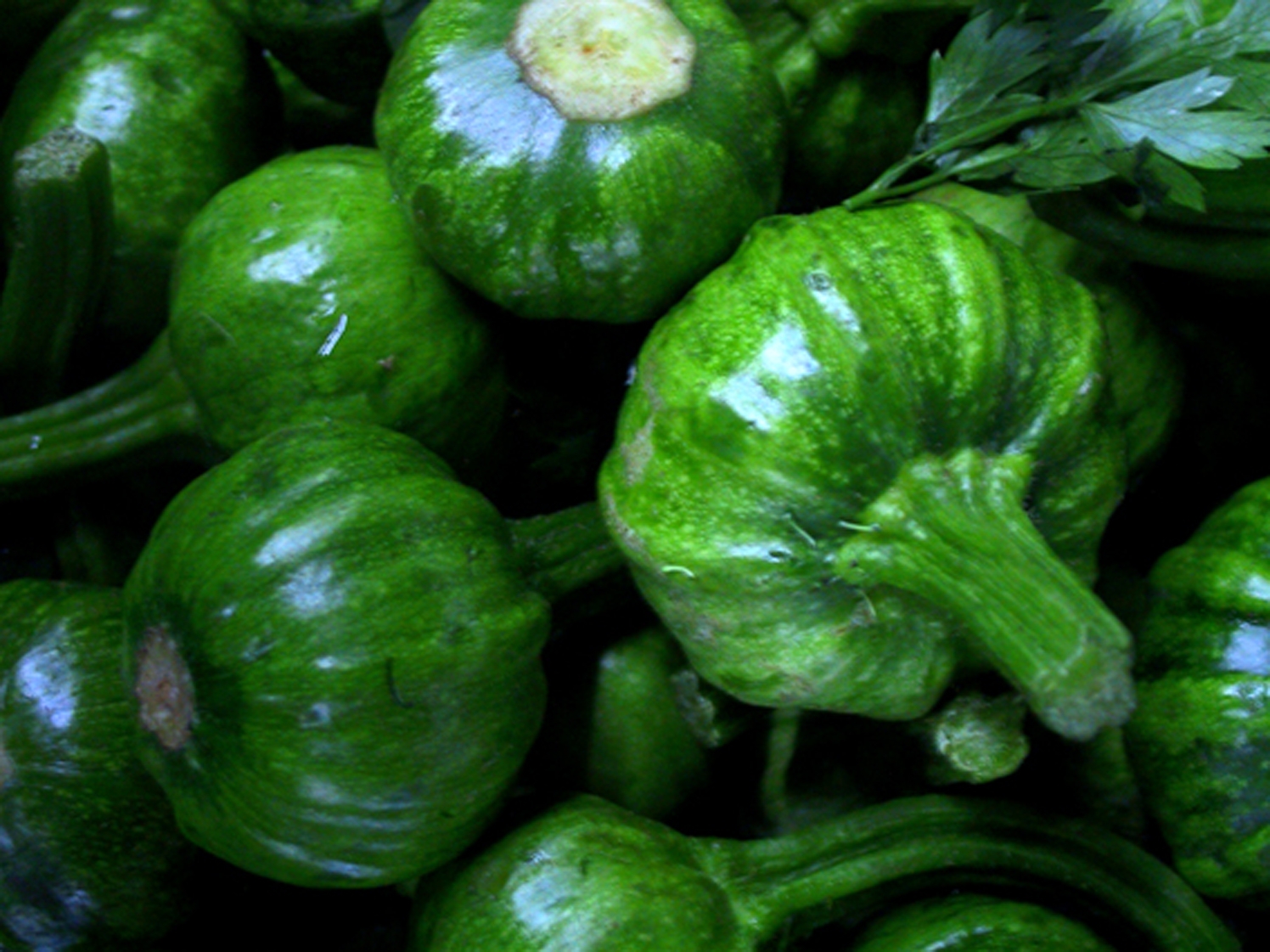 courgettes.jpg