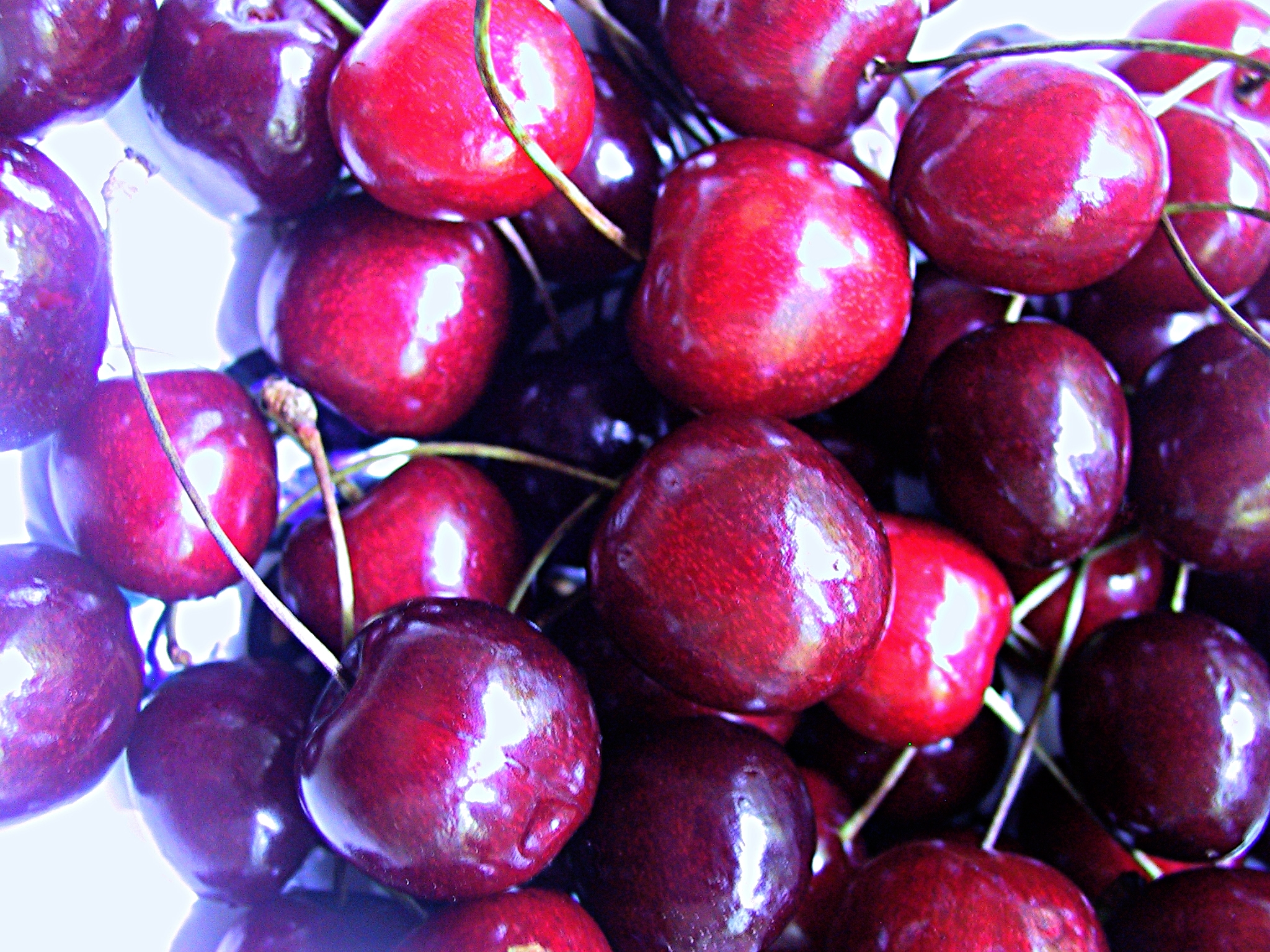 cerises.jpg