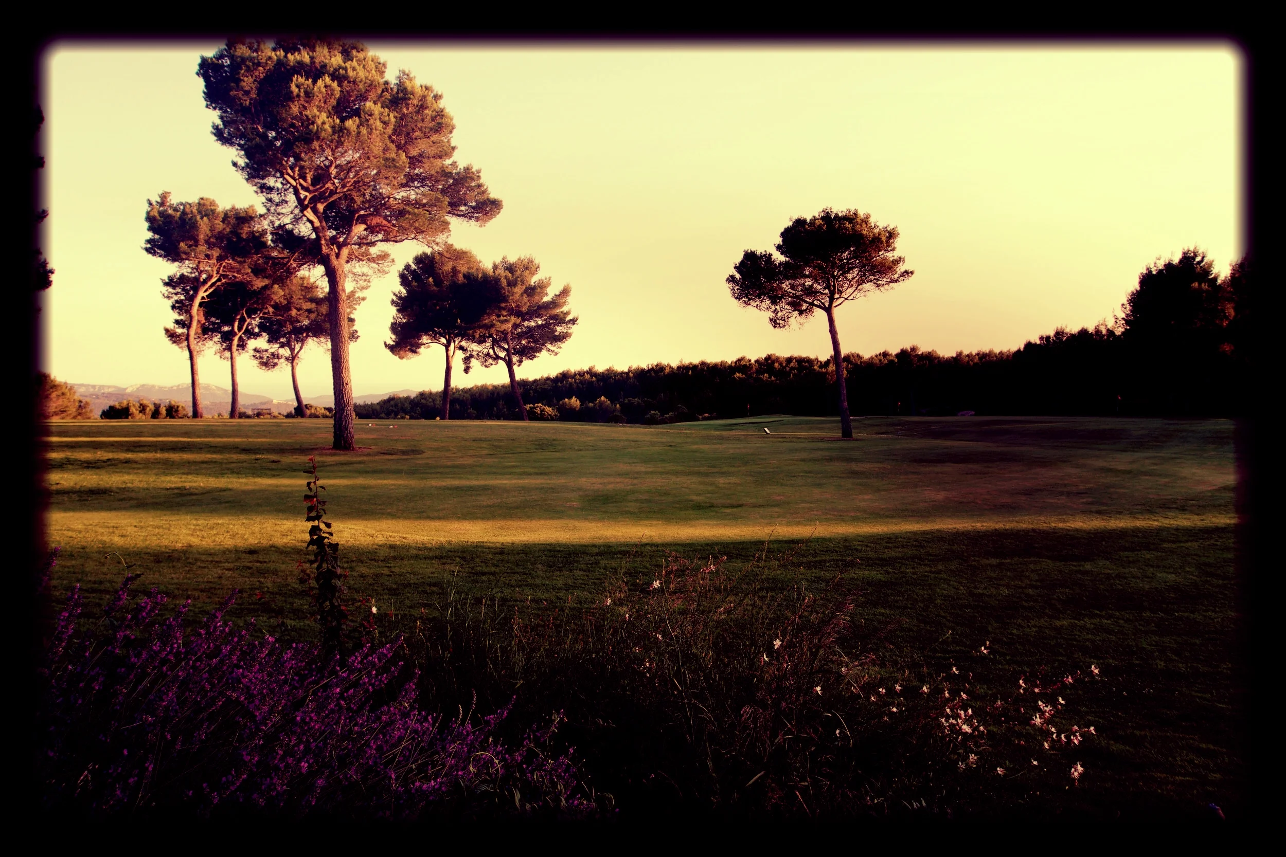 Jardin.jpg