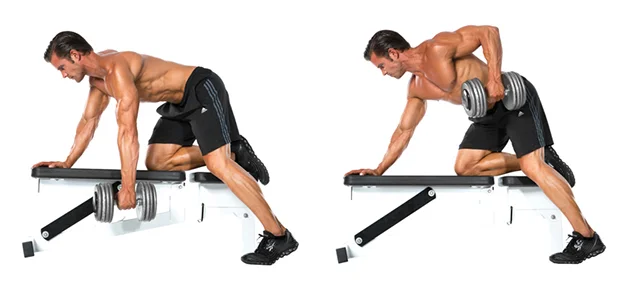 Exercise Of The Day One Arm Dumbbell Row Ralph fitness