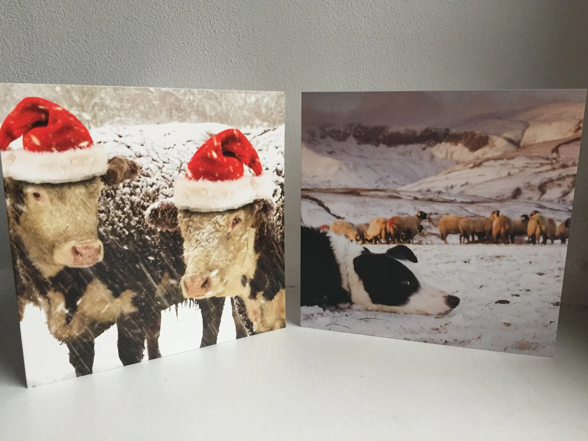 RNCI Christmas Cards