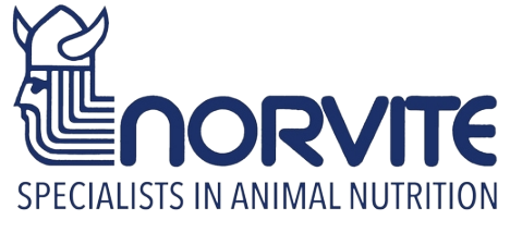 Norvite specialists logo - no background.png