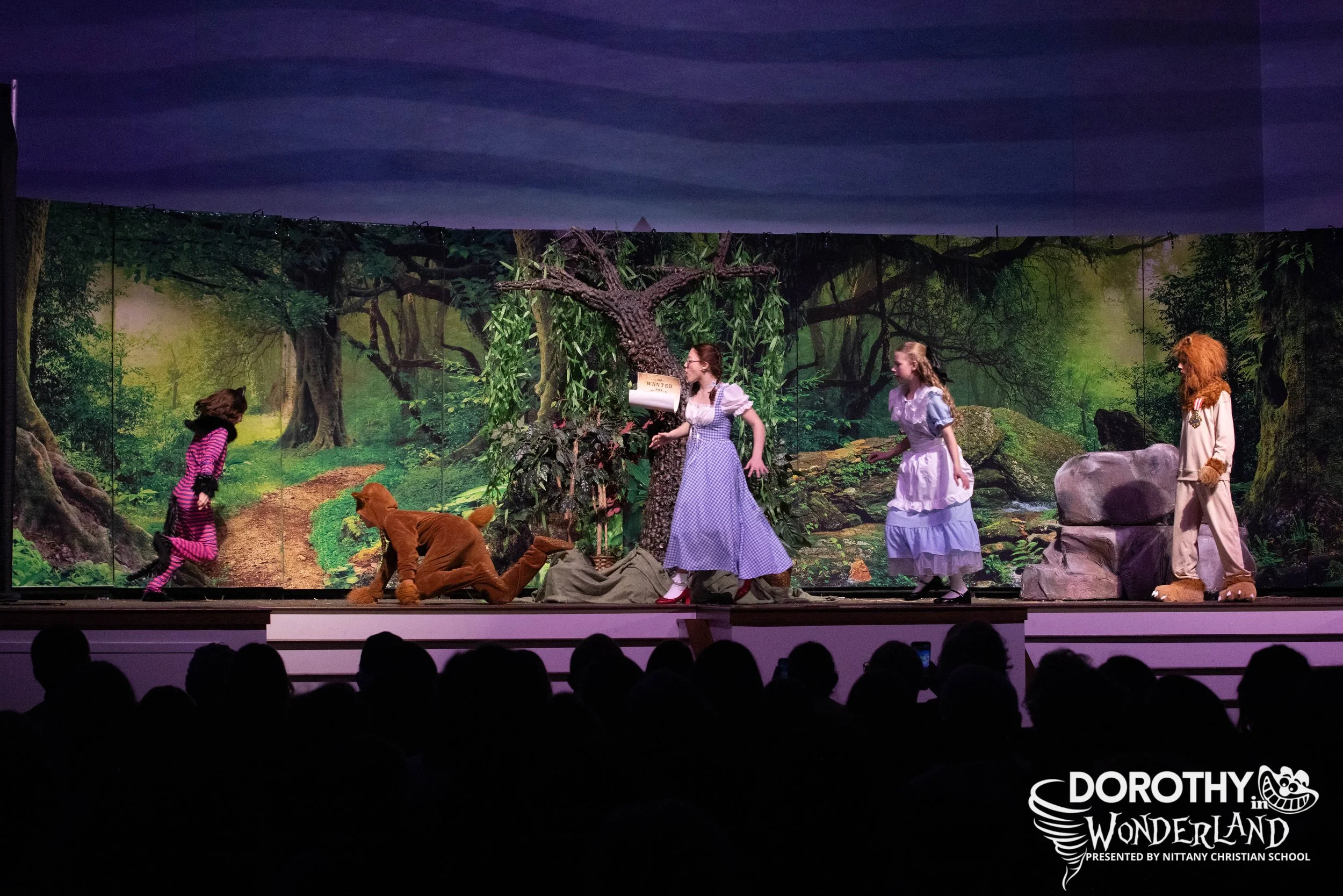 NCS-Dorothy 2026-213.jpg